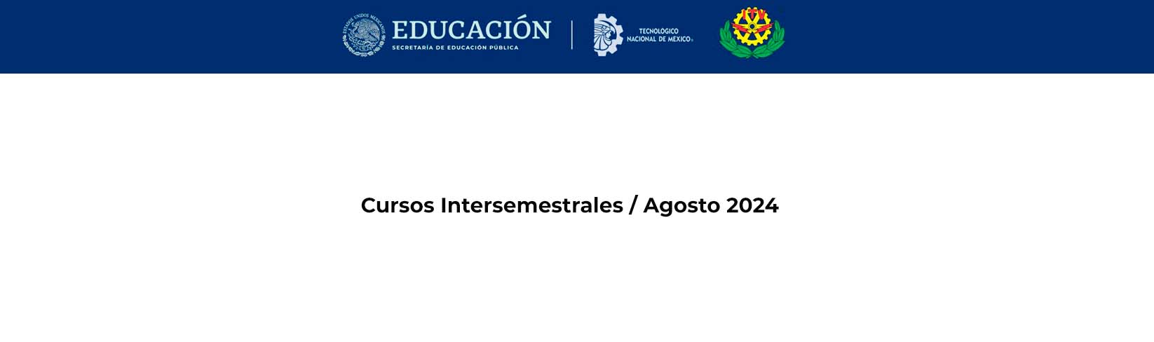 Cursos Intersemestrales / Agosto 2024