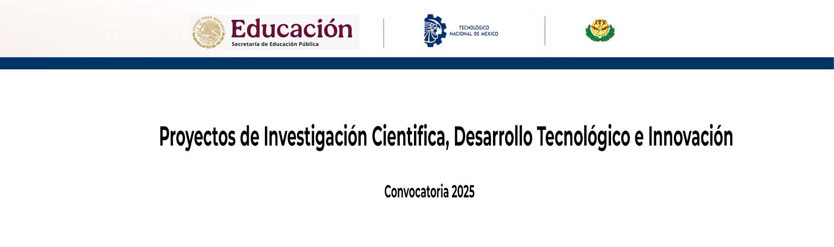 Proyectos de Investigación Cientifica, Desarrollo Tecnológico e Innovación. Convocatoria 2025.