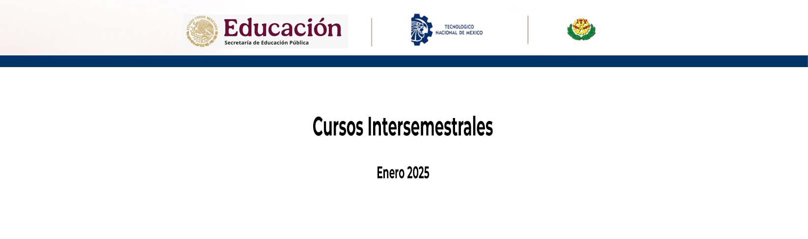 Cursos Intersemestrales 2025