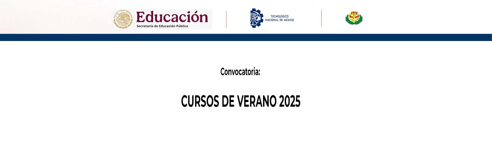 CURSOS DE VERANO 2025